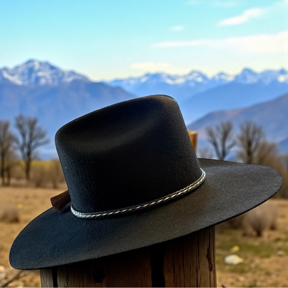Dorfman Pacific Black Felt Western Hat Braided Band Horsehair Tassel 4” Brim USA - Picture 3 of 9